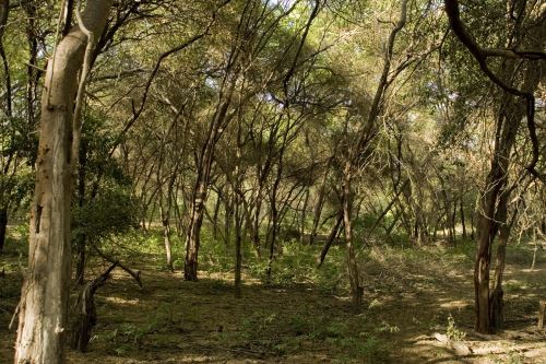 Vive una experiencia única en estas áreas protegidas en lo que resta del 2019