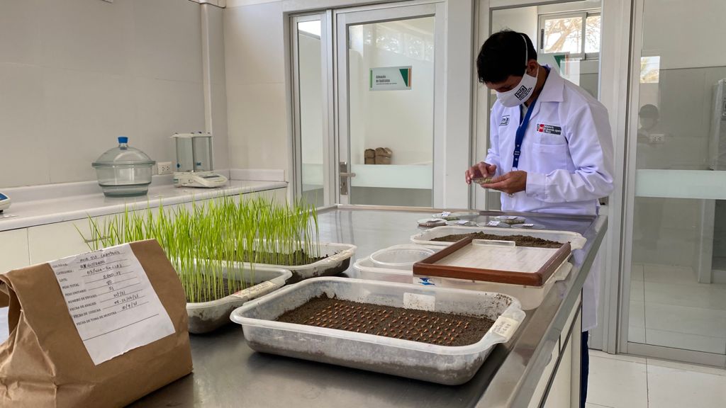 Implementan laboratorio de semillas y biofertilizantes en Lambayeque
