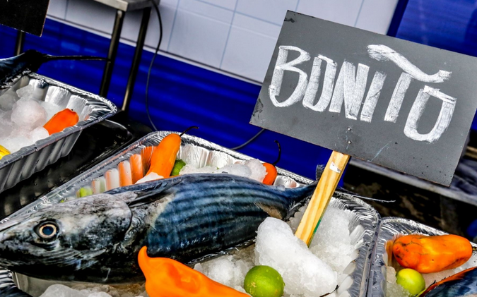 “Niño Costero” favorece presencia de caballa, barrilete y bonito