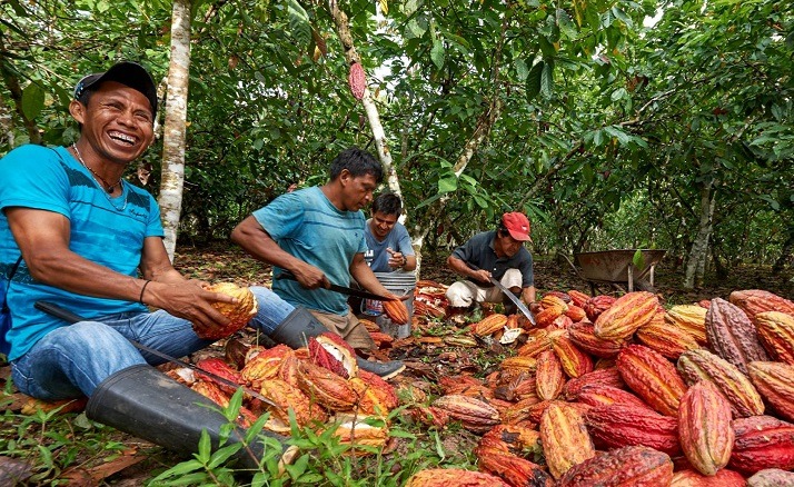  Más de 300 mil familias de la sierra y selva gestionan sus emprendimientos y fortalecen su valor productivo