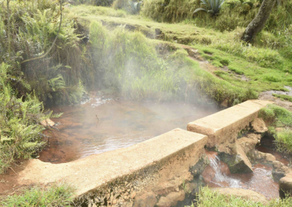 Buscan proteger ecosistema de cerro La Botica de Cachicadán