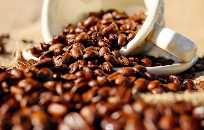 Inocuidad del café y cacao será crucial para consolidar sus exportaciones