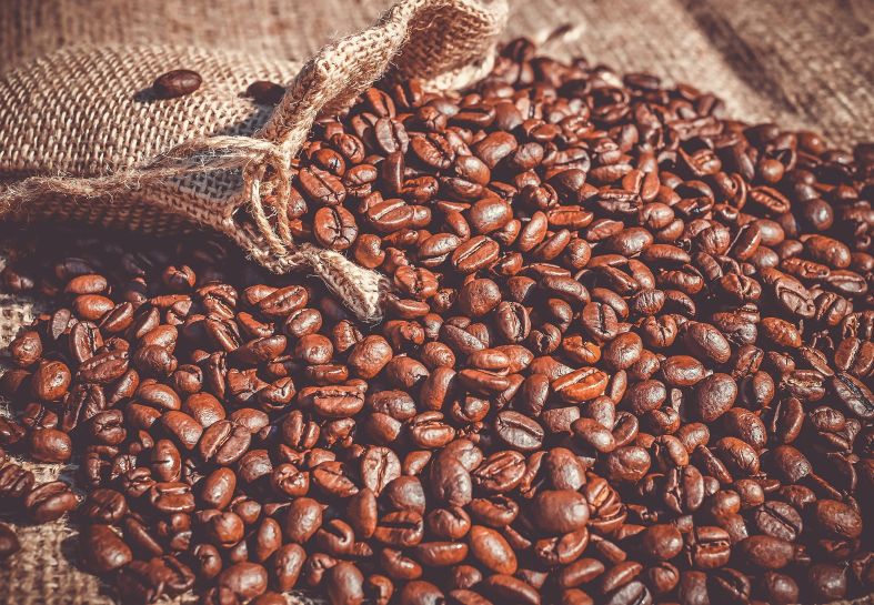 Envíos de café peruano superaron los US$ 300 millones