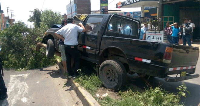 Trujillo: conductor ebrio derriba árbol y otro atropella a mujer