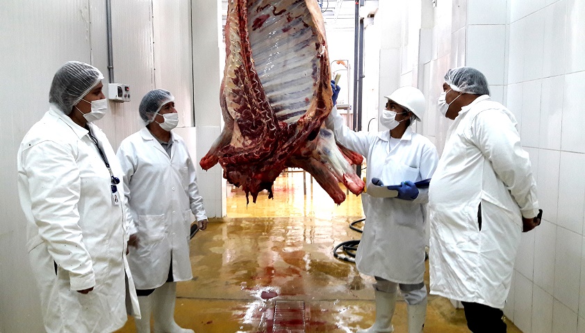 ‘Camal del Norte’ inicia sus actividades con autorización del Senasa