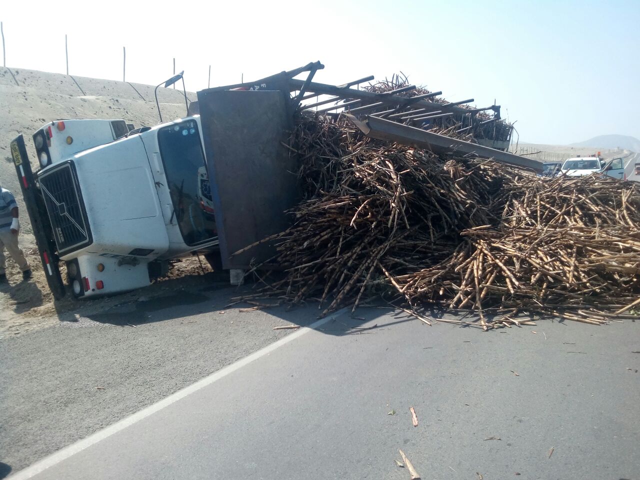 Camión se despista en Panamericana Norte