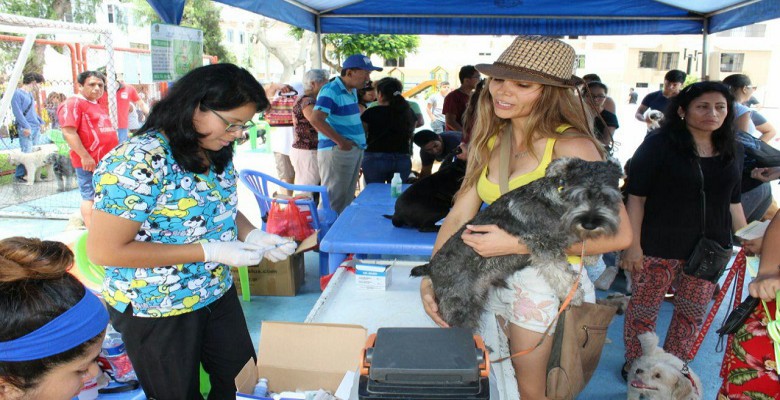 Trujillo: más de 200 mascotas atendidas en campaña municipal “Colita Feliz”