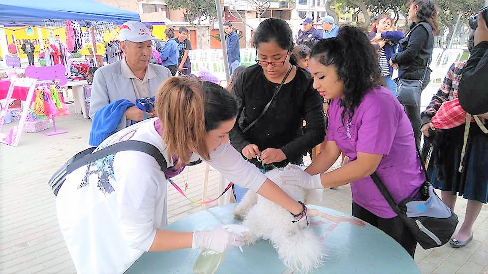 Víctor Larco: realizarán campaña de salud para mascotas  