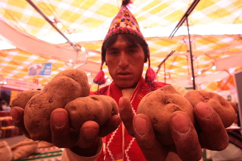 Día del Campesino: Presidencia de la República saluda a peruanos que trabajan la tierra