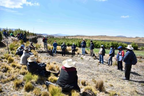 La Libertad: sembrarán pino y quinual en microcuencas del río Tablachaca