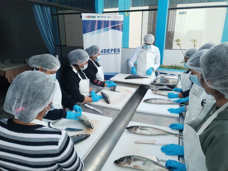 Buscan capacitar a más de 1000 pescadores artesanales para mejorar su competitividad