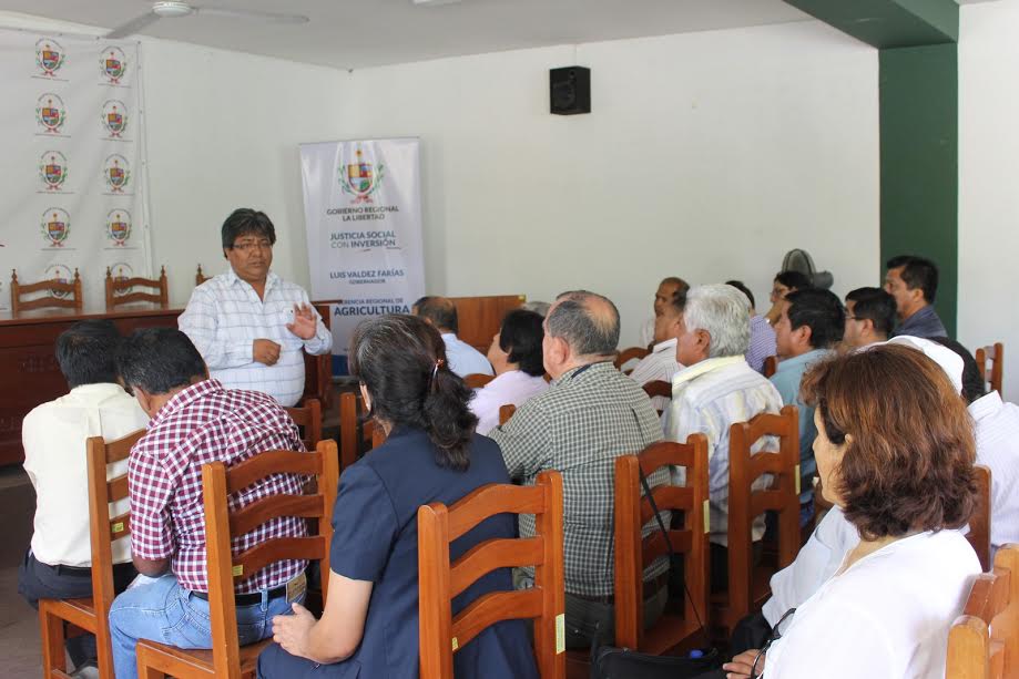 Gerencia de Agricultura proyecta una producción de 120 mil plantones en La Libertad