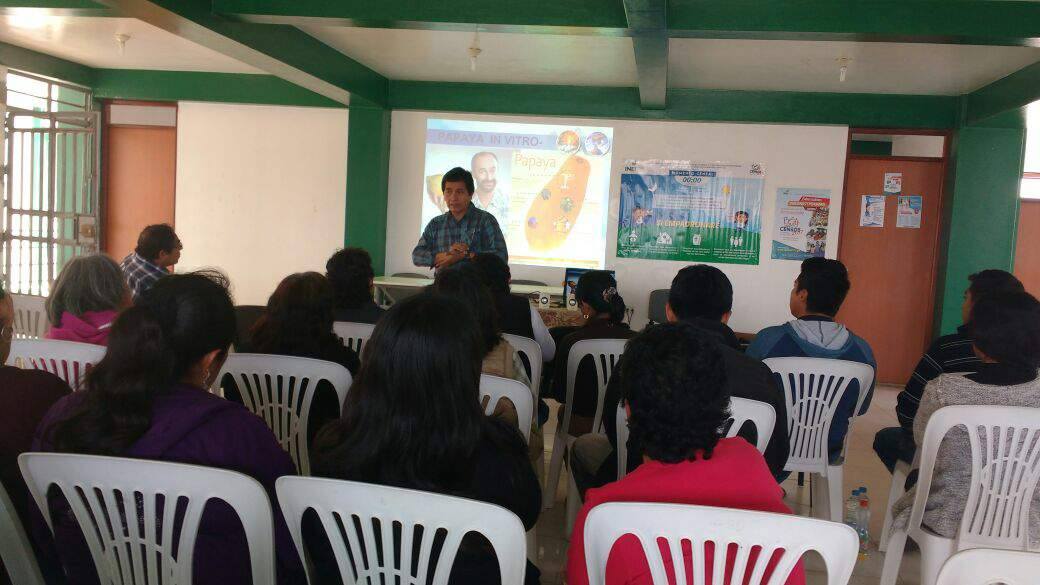 Pequeños agricultores se instruyen sobre cultivos alternativos en San Pedro de Lloc