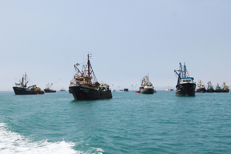 Perú captura menos anchoveta que Chile desde el 2012 en zona sur