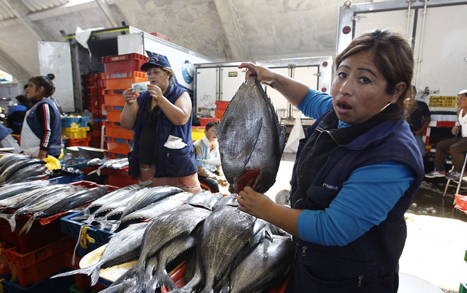 Calentamiento del mar produjo migración de nuevas especies en La Libertad