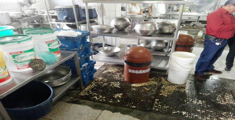 Trujillo: clausuran cevichería “Mar Picante” al encontrar insectos y utensilios sucios