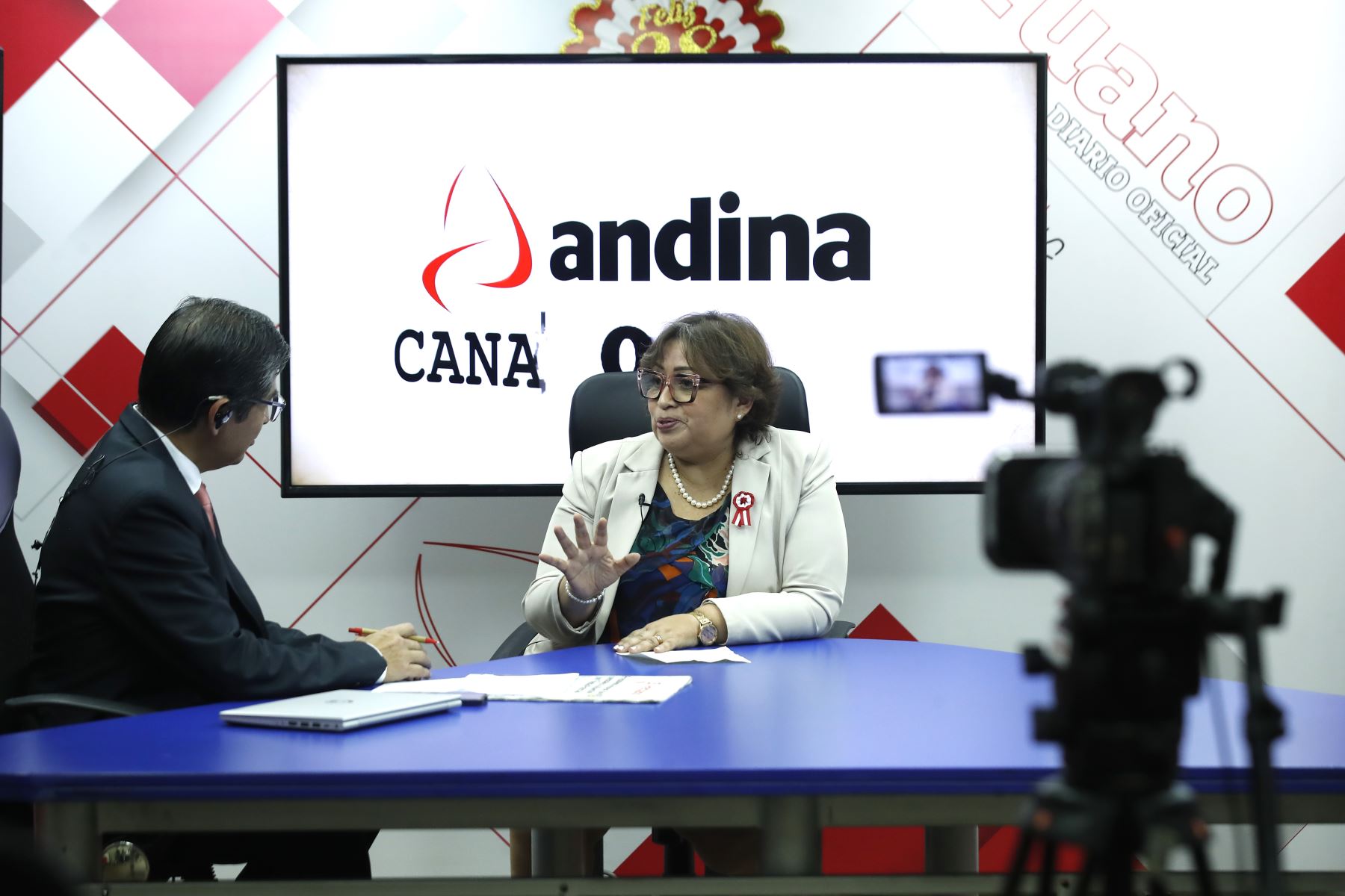 Crearán diez nuevos Centros de Emergencia Mujer en distintas regiones