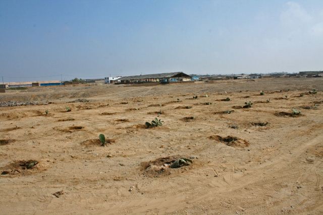 Fiscalía investiga supuesto atentado a tierras de zona intangible de Chan Chan