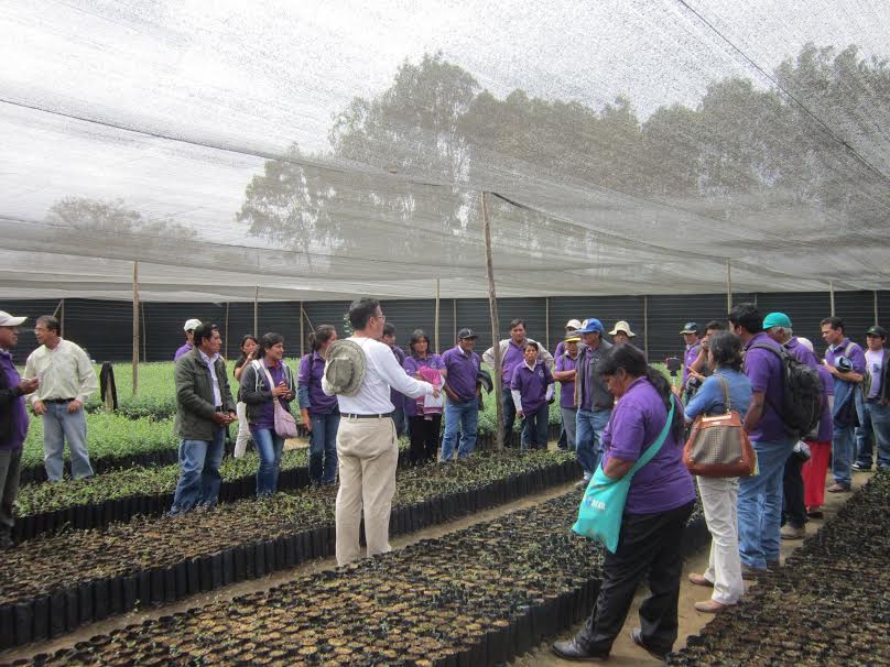 Realizan pasantía en cultivo de arándanos en el proyecto Chavimochic