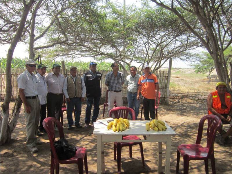 Agricultores de El Molino mejoran  sus plantaciones gracias a tecnología de proyecto CHAVIMOCHIC