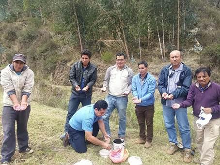 Julcán: iniciaron plan exportable de chocho