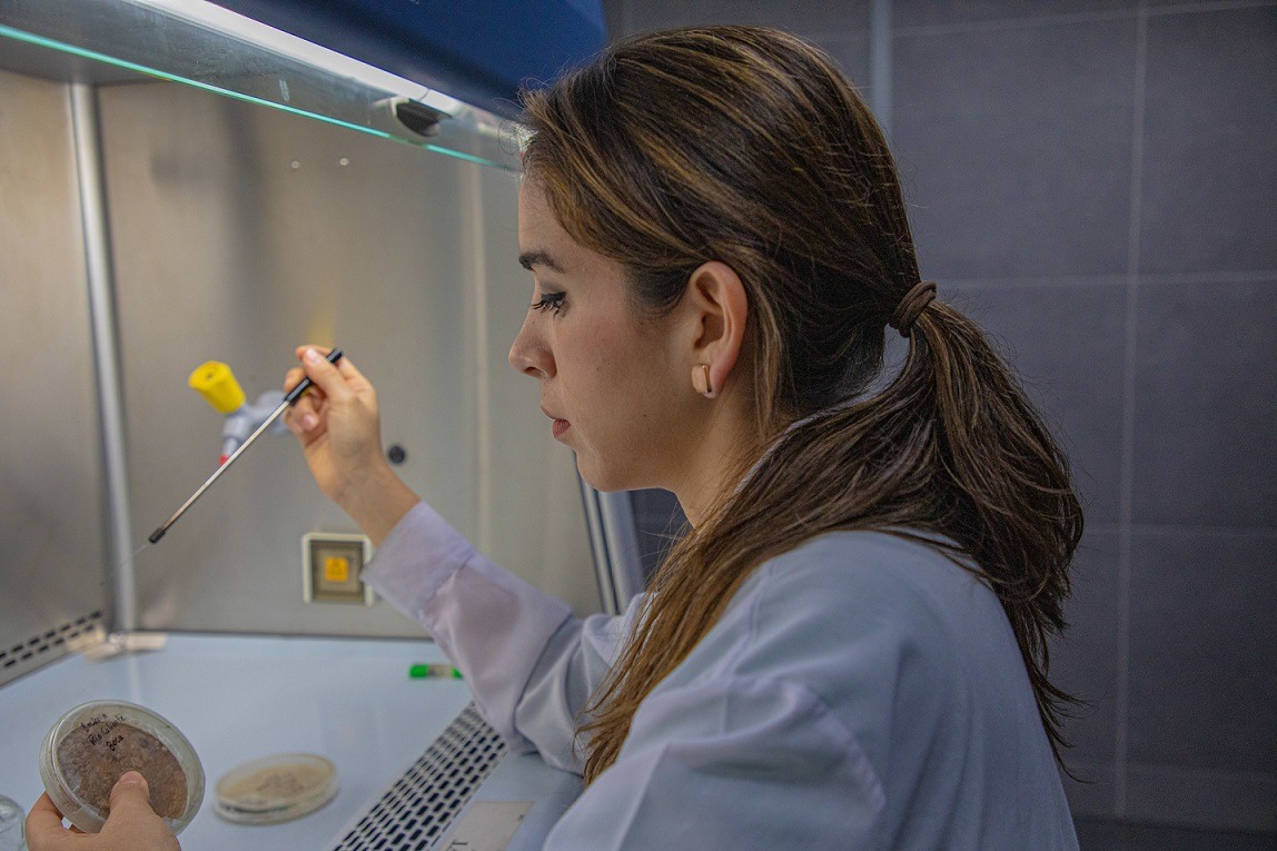 Universidad de Suiza ofrece beca a peruanos para estudiar doctorado  