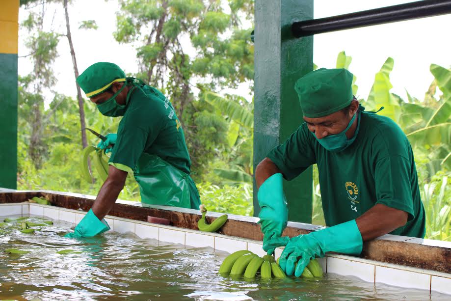 Trujillo: Cite agropecuario de Cedepas Norte busca promover prácticas agrícolas exitosas en La Libertad