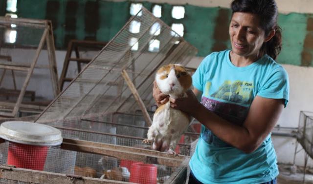  Más de 4,800 productores liberteños se capacitan para mejorar sus ingresos