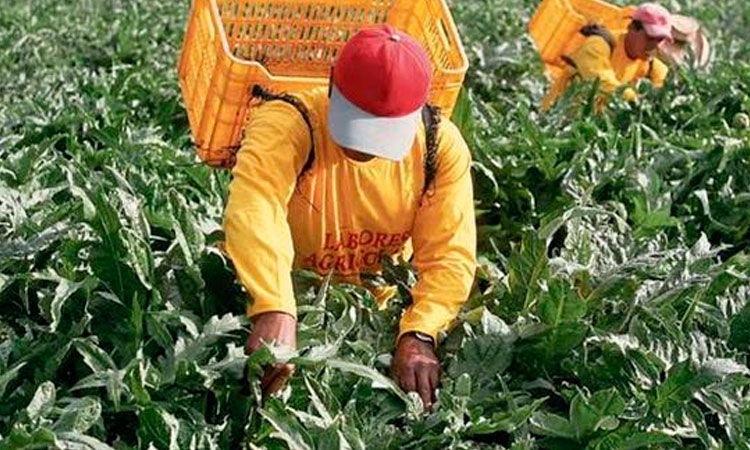 El valor del trabajo y los huevos de oro en el Perú