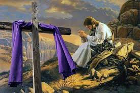 El Espíritu lo condujo