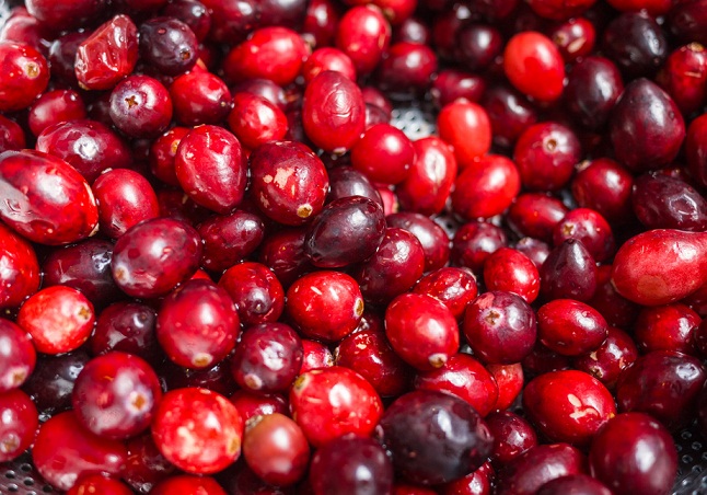 Unas 749 hectáreas de arándanos se cultivan en Chavimochic