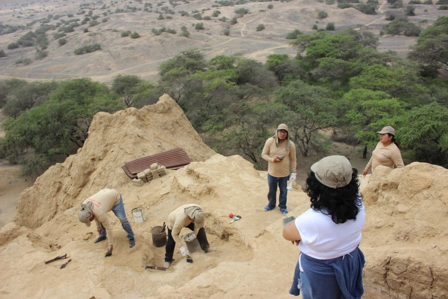 Hallan cinco nuevos fardos funerarios en Complejo Arqueológico de Túcume en Lambayeque