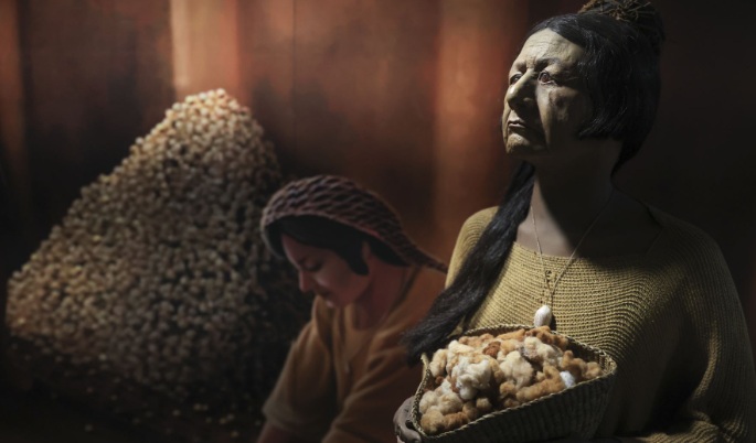 Nuevo hallazgo revela interacción de Civilización Caral con regiones amazónica y andina