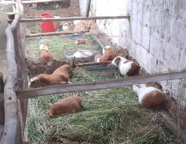  Proyectos productivos en Usquil supervisó ministra del Midis