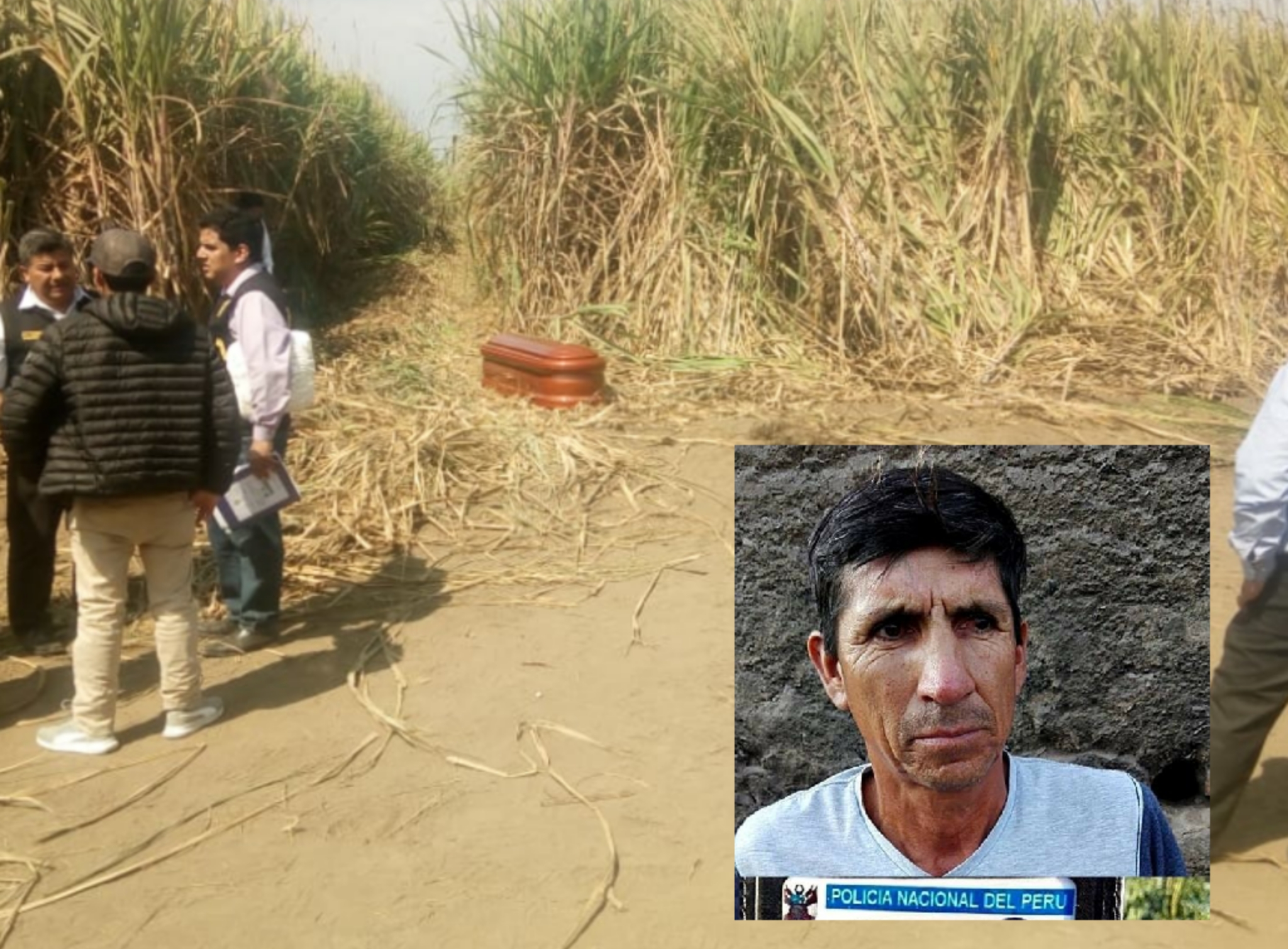 Trujillo: Policía en retiro muere aplastado por cosechadora mientras se drogaba en cañaverales.