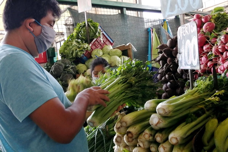 De lunes a sábado podrá salir una persona por familia por víveres o medicinas