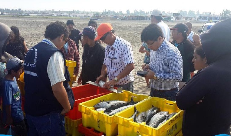 Decomisan en Puerto Morin 330 kilos de pescado en talla menor a la permitida