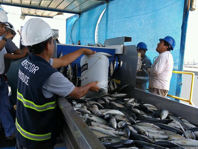 Produce dispuso suspensión preventiva de pesca por 48 horas en La Libertad y Áncash