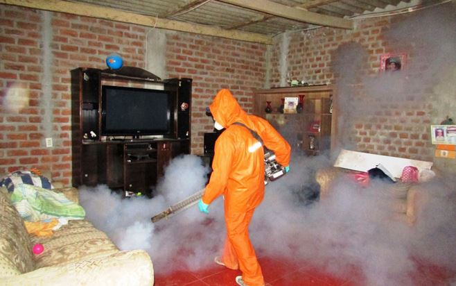 Geresa intensifica combate del dengue y chikungunya