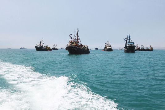 Derechos de pesca: recaudación alcanzaría S/ 89.4 millones en 2019