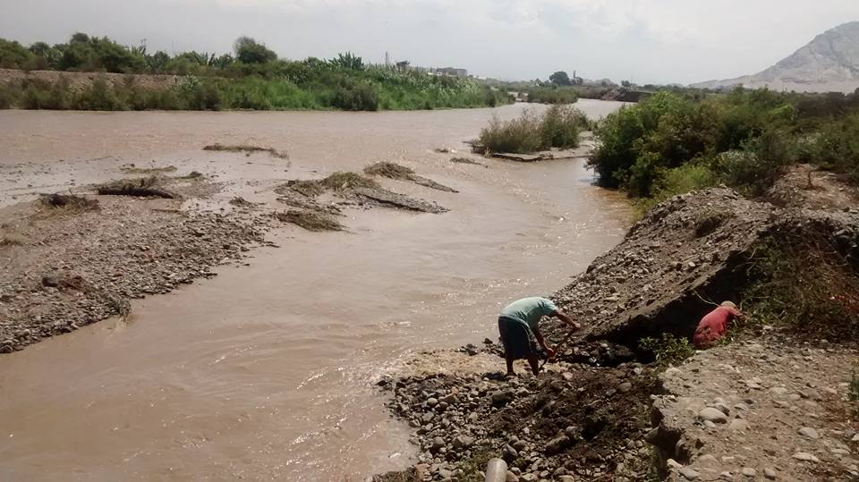 Río Moche se lleva siete hectáreas de sembríos