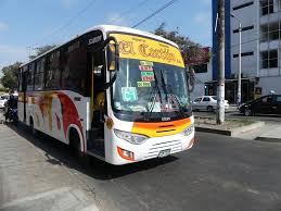 Alcalde: “Transportistas quieren parar totalmente porque negocio ya no es rentable en cuarentena”