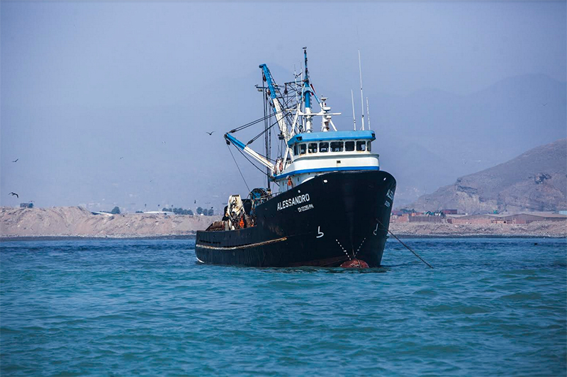 Desembarques de anchoveta superan en 63% promedio de los últimos tres años