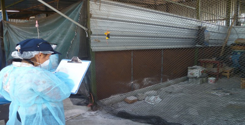 Más de 740 puestos de mercado La Hermelinda fueron desinsectados