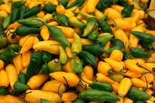 Día de los Ajíes Peruanos: los embajadores de las cocinas regionales