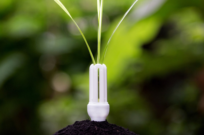 Día Mundial de la Eficiencia Energética: Consejos para optimizar el consumo de energía en casa