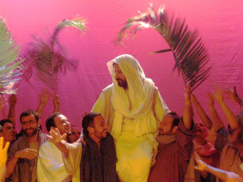 Jesús es aclamado y rechazado 