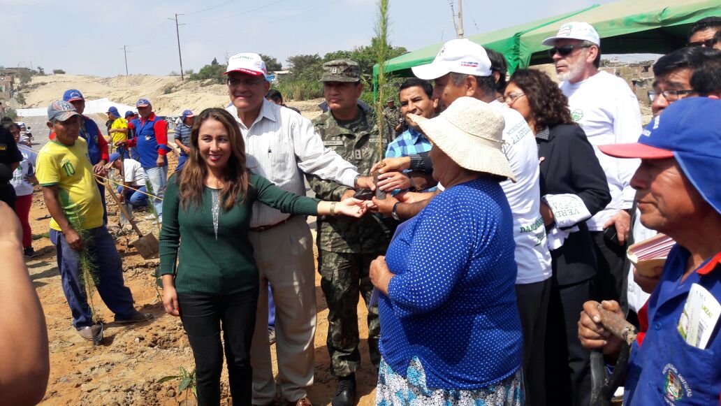  La Libertad: Producción donó 20 mil plantones de pino para arborizar La Esperanza y Víctor Larco