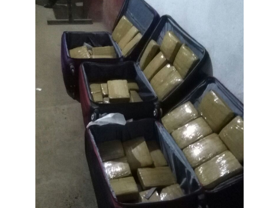 Envían 49 kilos de marihuana de Tumbes a Trujillo