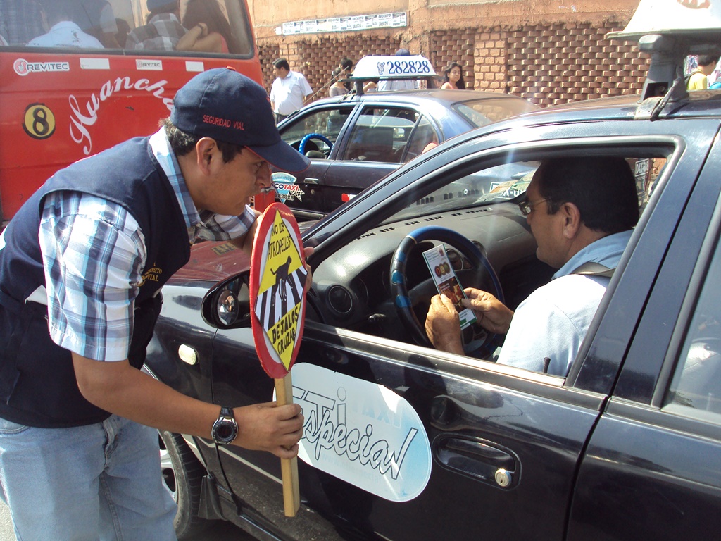 Municipalidad inicia campaña para evitar atropellos a animales
